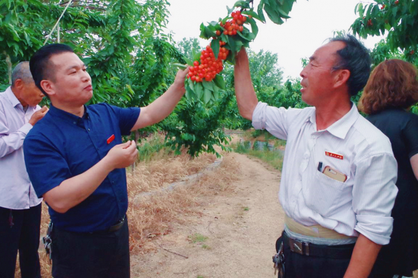 北京东城区联合国小镇新农民培训平台